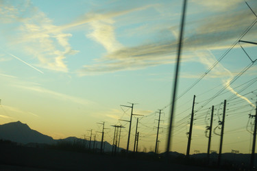 skyline with electrical poles
